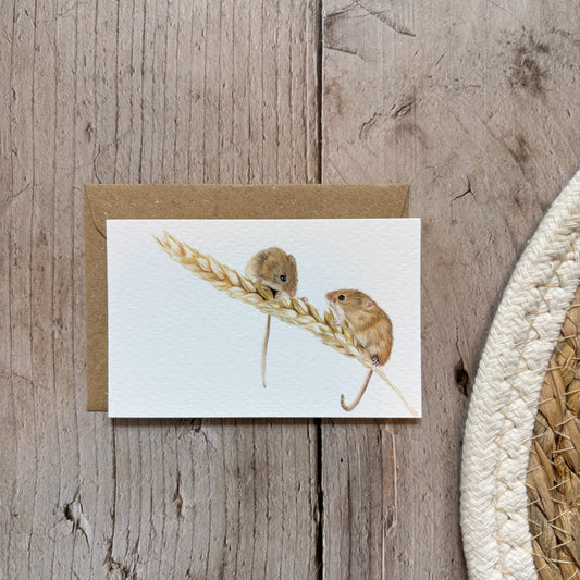 Mini cards | Harvest mouse