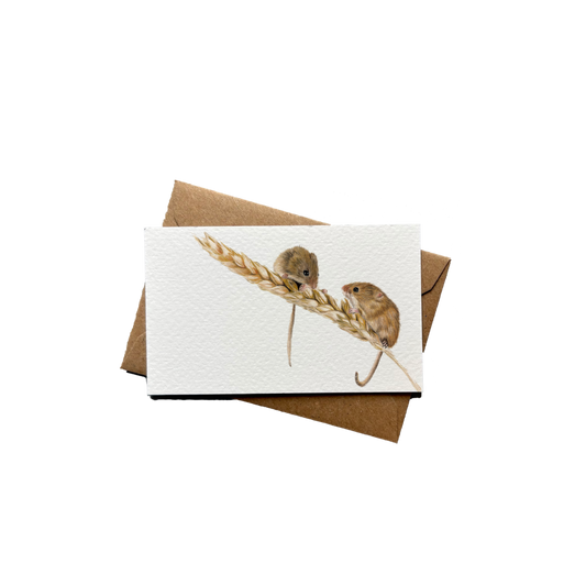 Mini kaartje | Veldmuizen