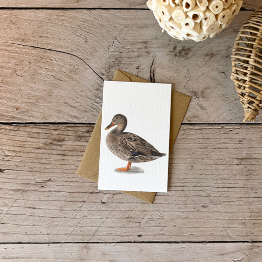 Wholesale | Mini Card | Wild duck