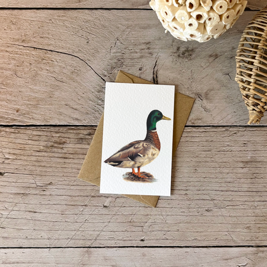 Mini card | Mallard Duck