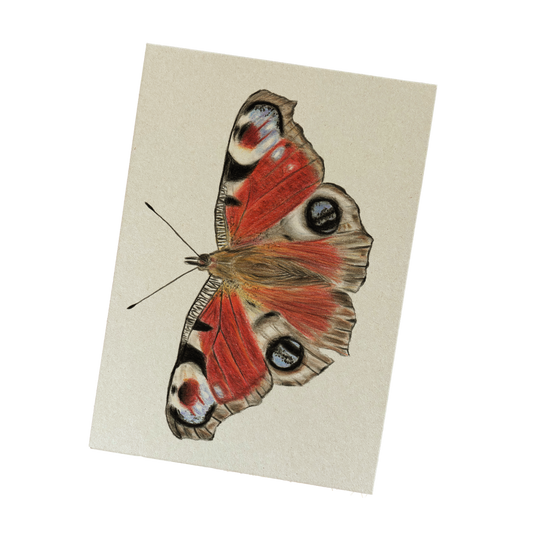 Notitieblok | Dagpauwoog