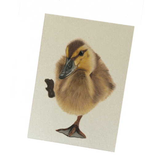 Notitieblok | Eendje