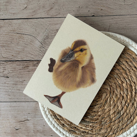 Notepad | Duckling