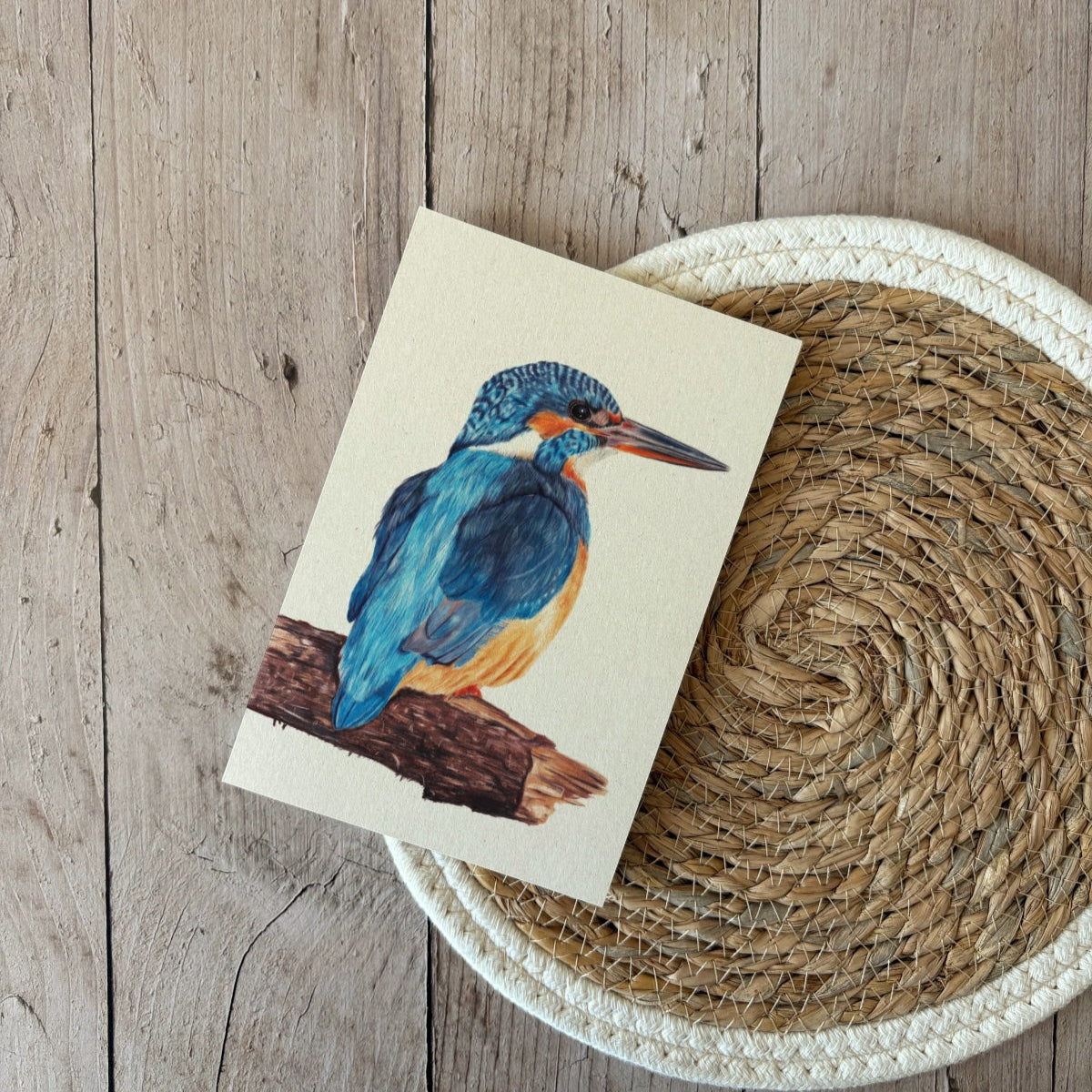 Notitieblok | IJsvogel