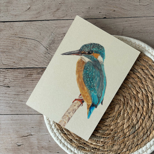 Notepad | Kingfisher