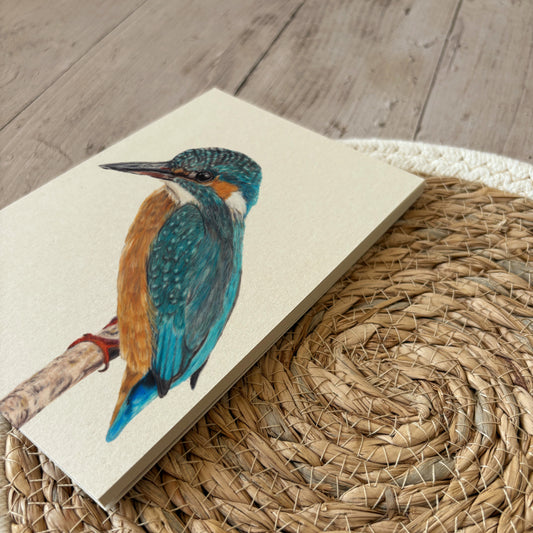Notepad | Kingfisher