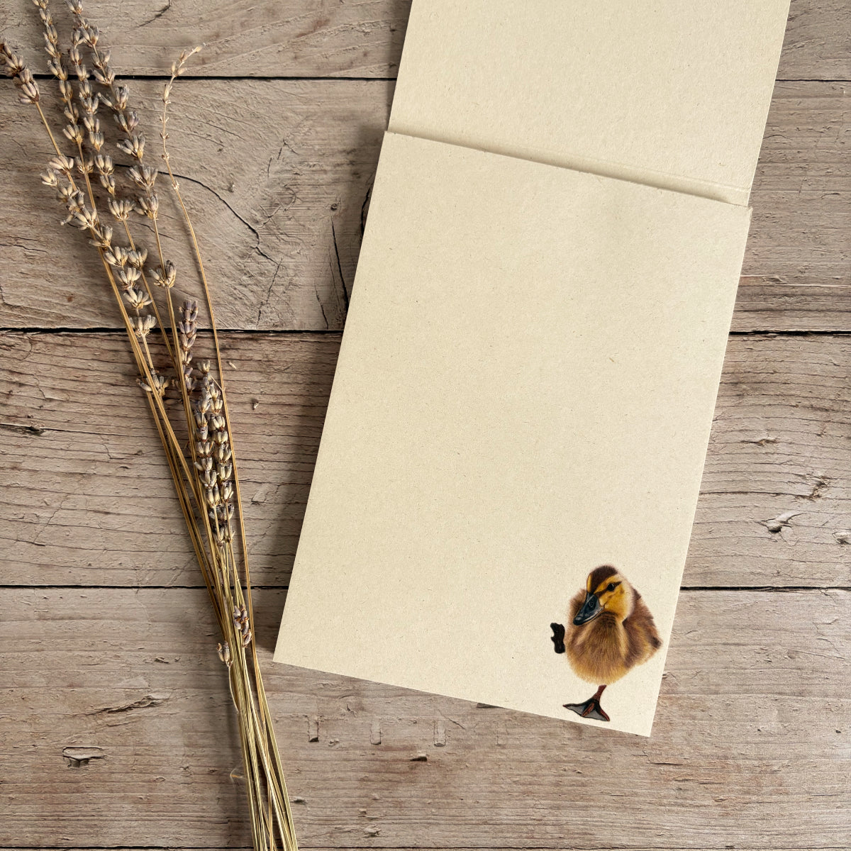 Notepad | Duckling