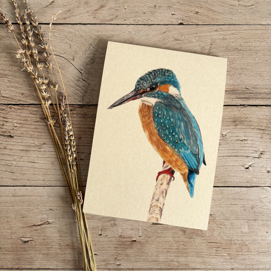 Notitieblok | IJsvogel