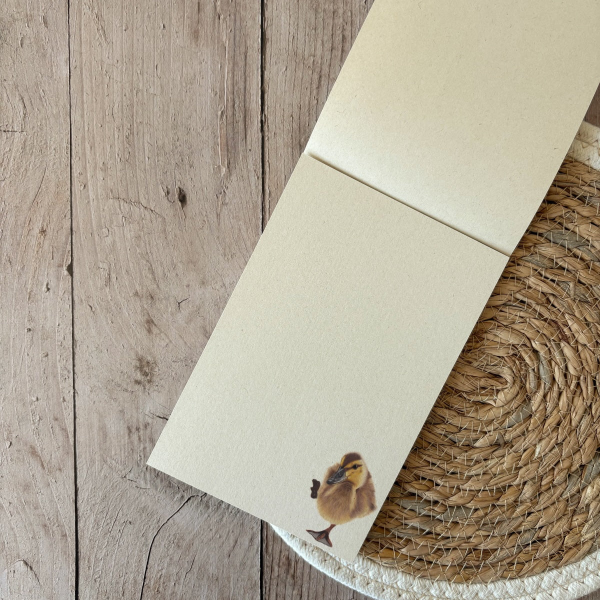 Notepad | Duckling