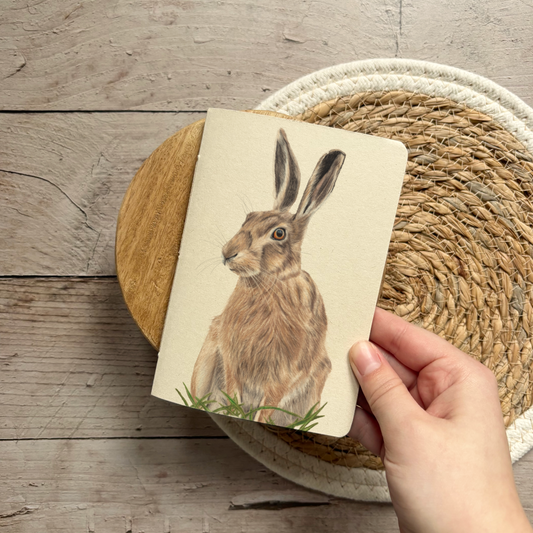 Notebook | Hare