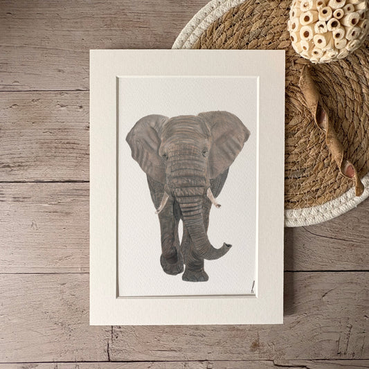 Print | Olifant