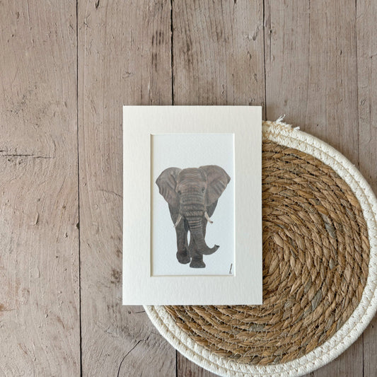 Print | Elephant