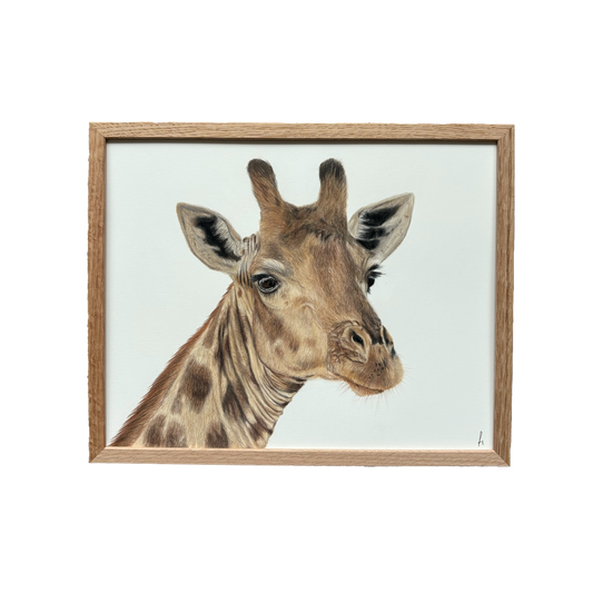 Originele tekening | Giraffe