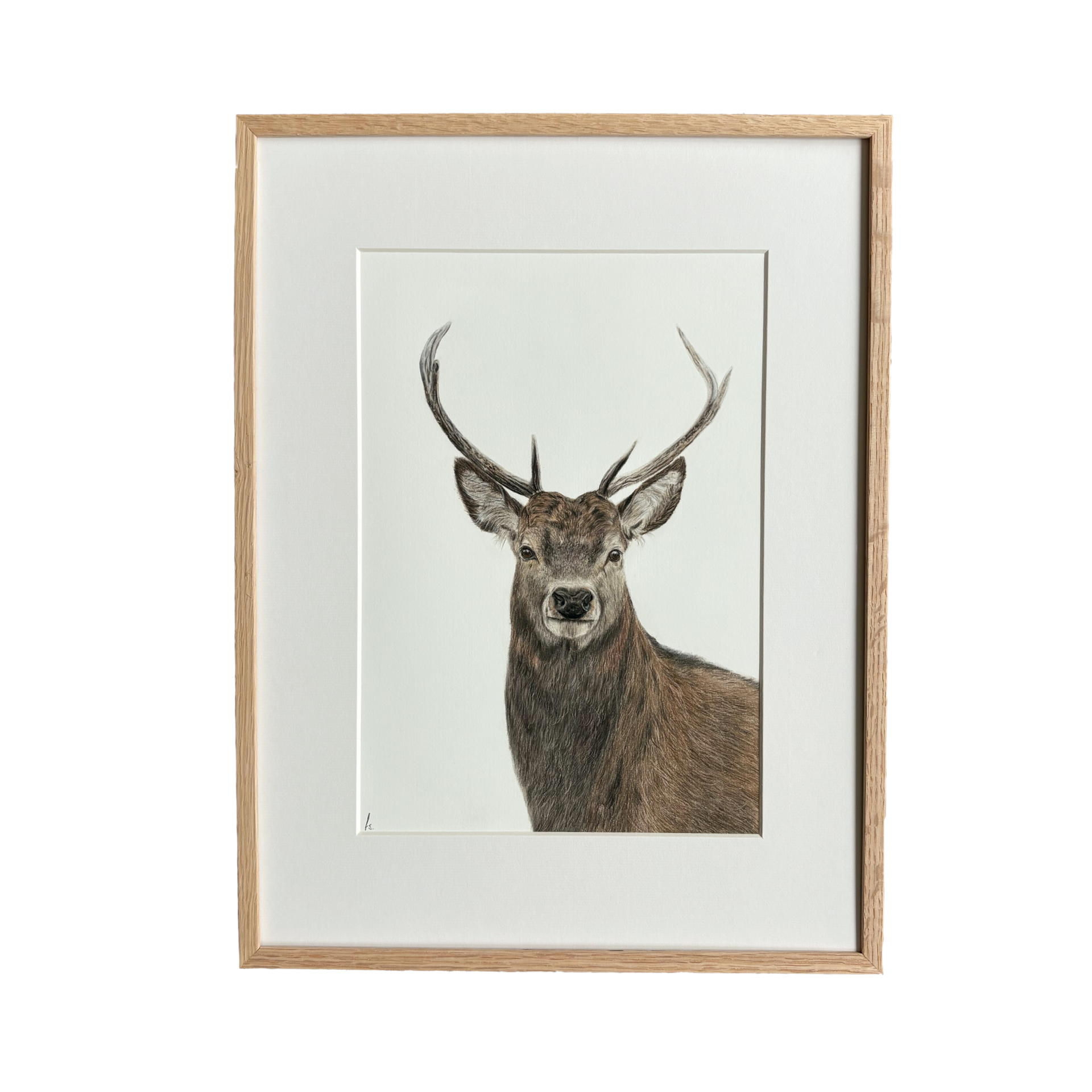 Originele tekening | Hert – Fencil Studio, image size:1920x1920