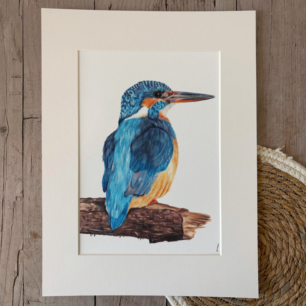 Print | IJsvogel | 30x40 cm