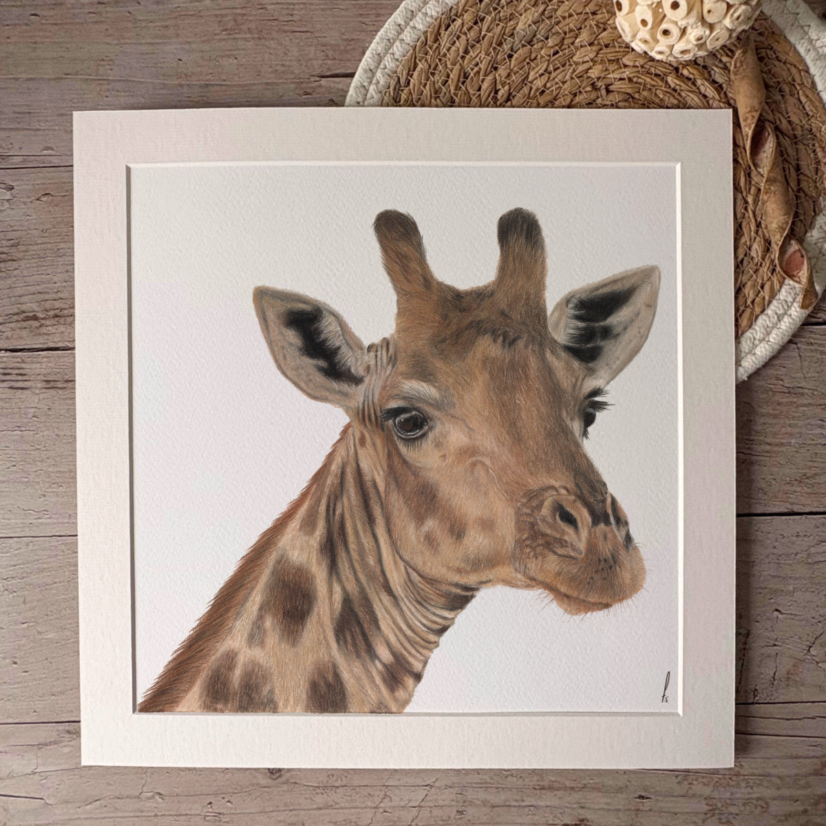 Print | Giraffe