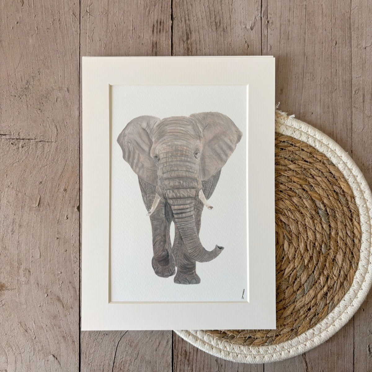 Print | Elephant | A4
