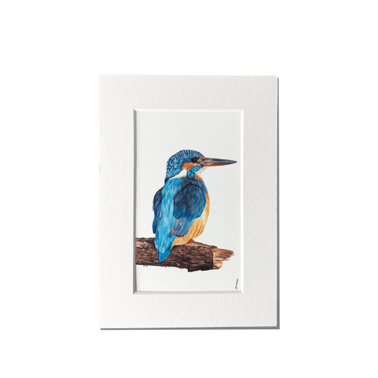 Print | IJsvogel op hout