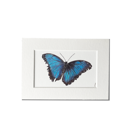 Print | Blauwe vlinder
