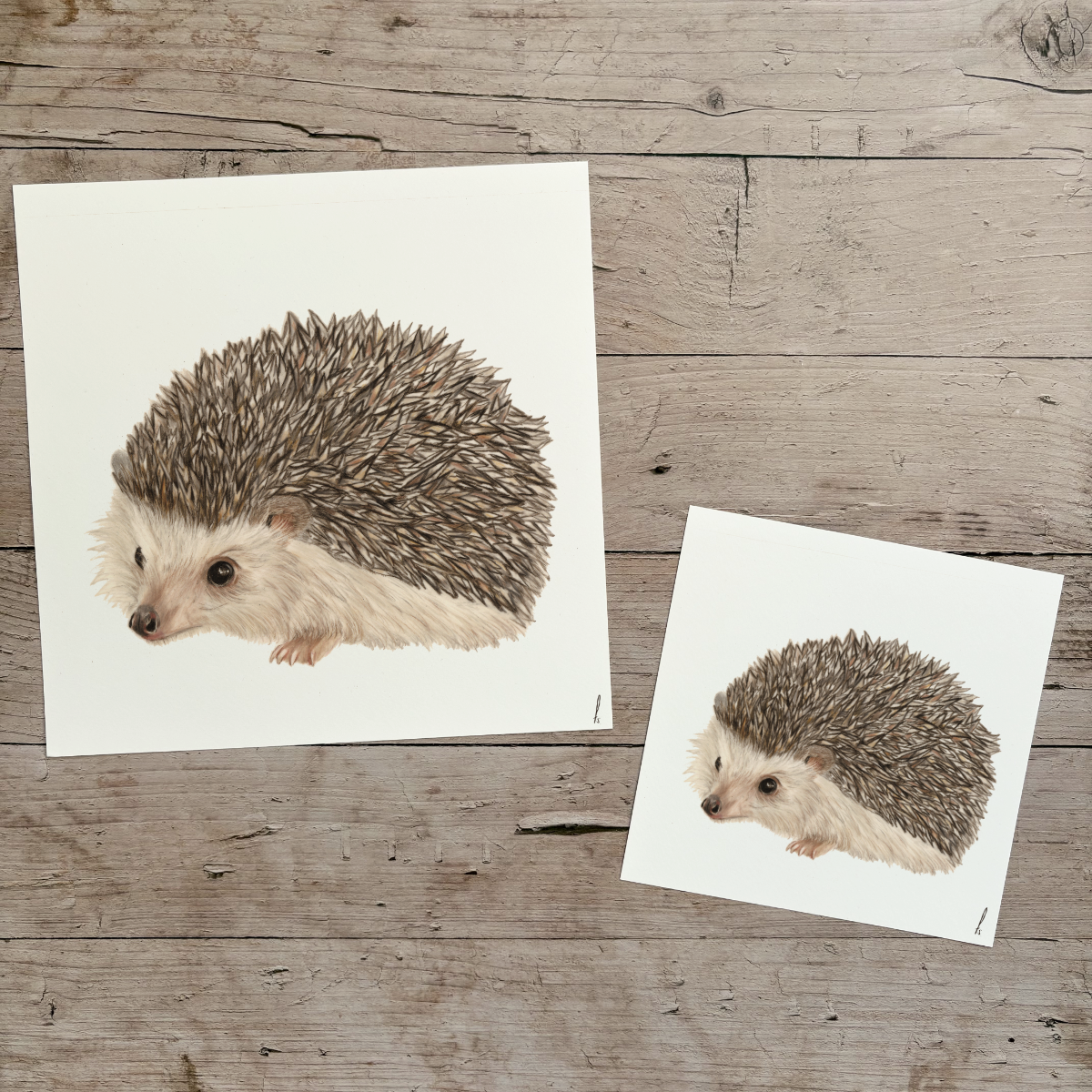 Wholesale | Print | Egel