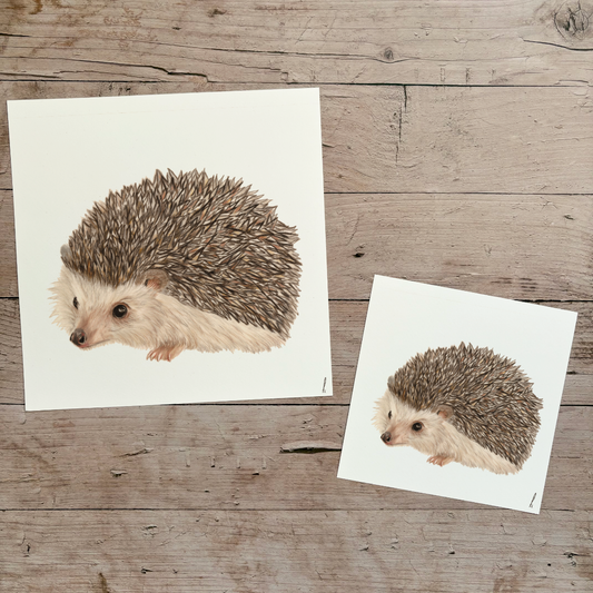 Wholesale | Print | Egel