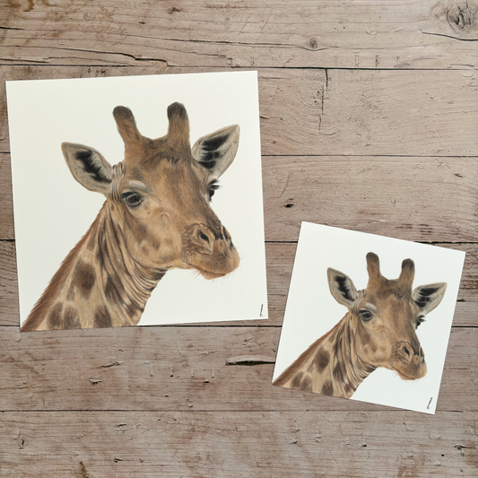 Wholesale | Print | Giraffe