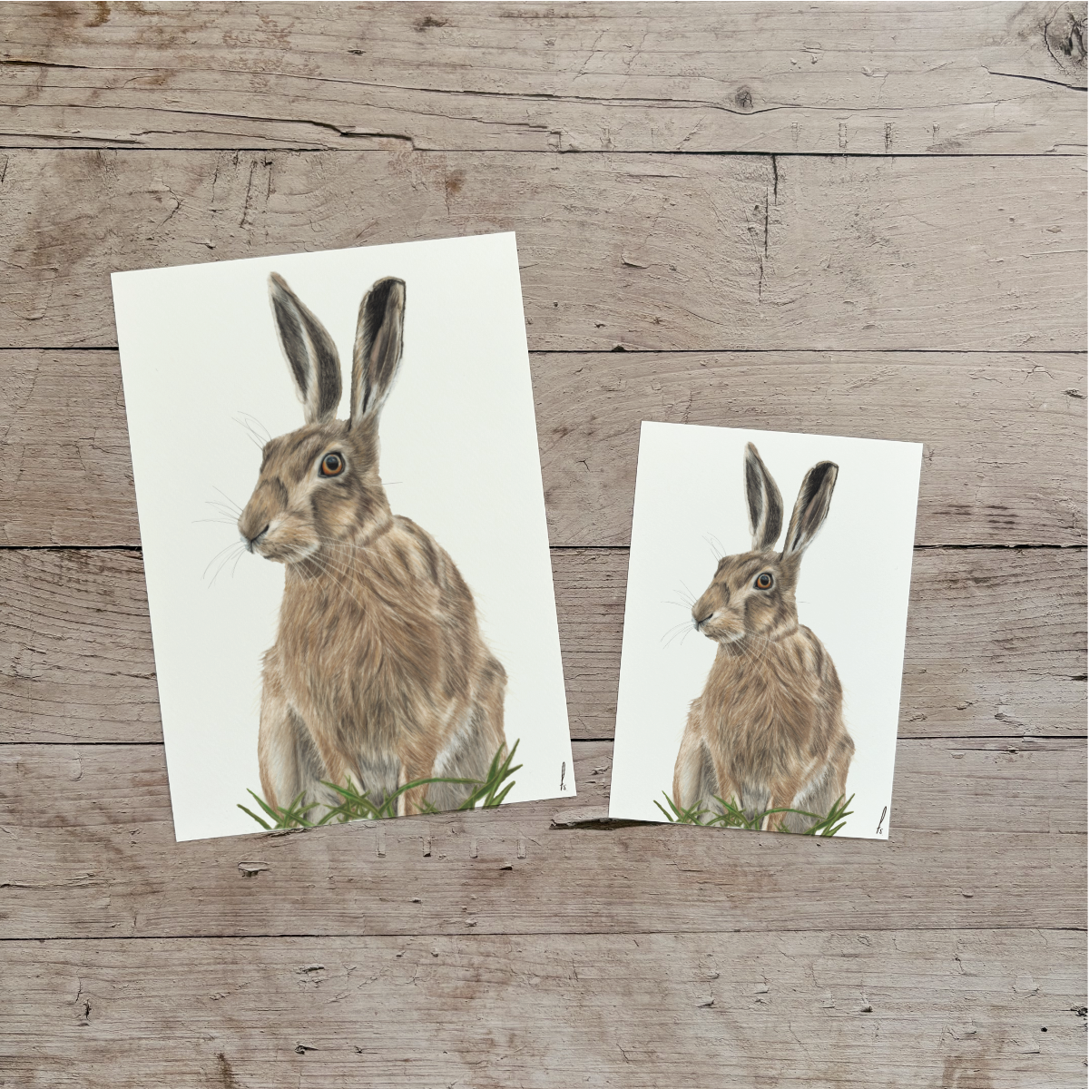 Wholesale | Print | Haas