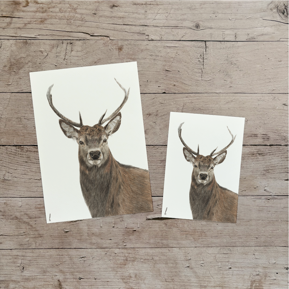 Wholesale | Print | Hert