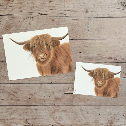 Wholesale | Print | Hooglander