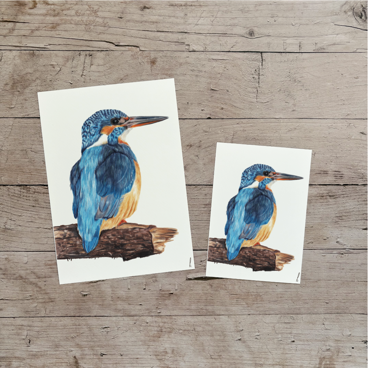 Wholesale | Print | IJsvogel op hout