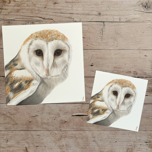 Wholesale | Print | Kerkuil