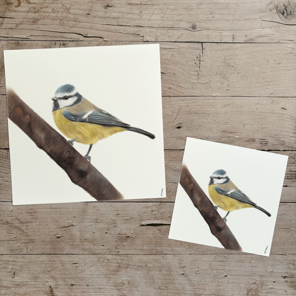 Wholesale | Print | Pimpelmees