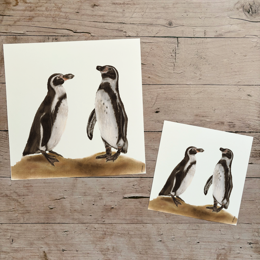 Wholesale | Print | Pinguïns