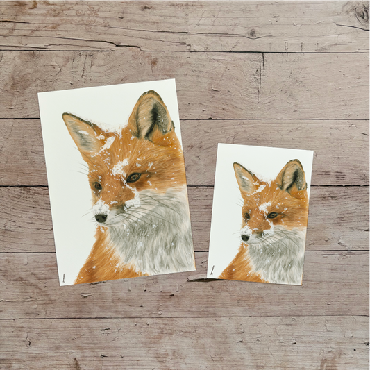 Wholesale | Print | Vos