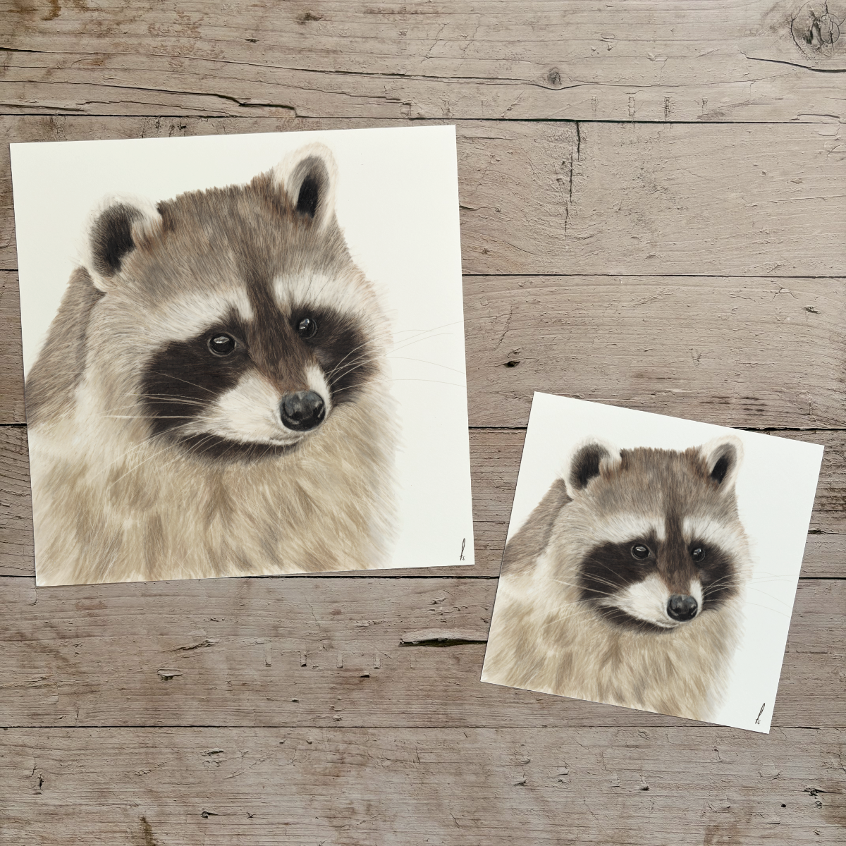 Wholesale | Print | Wasbeer