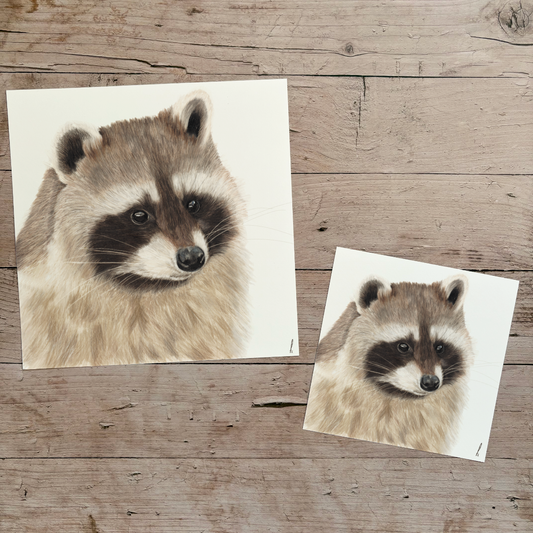 Wholesale | Print | Wasbeer