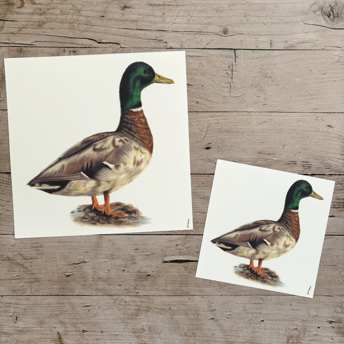 Wholesale | Print | Woerd