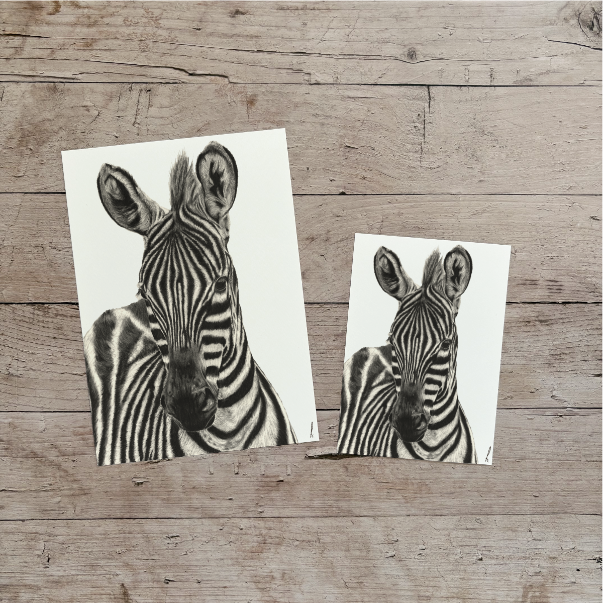 Wholesale | Print | Zebra
