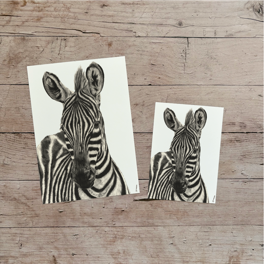 Wholesale | Print | Zebra
