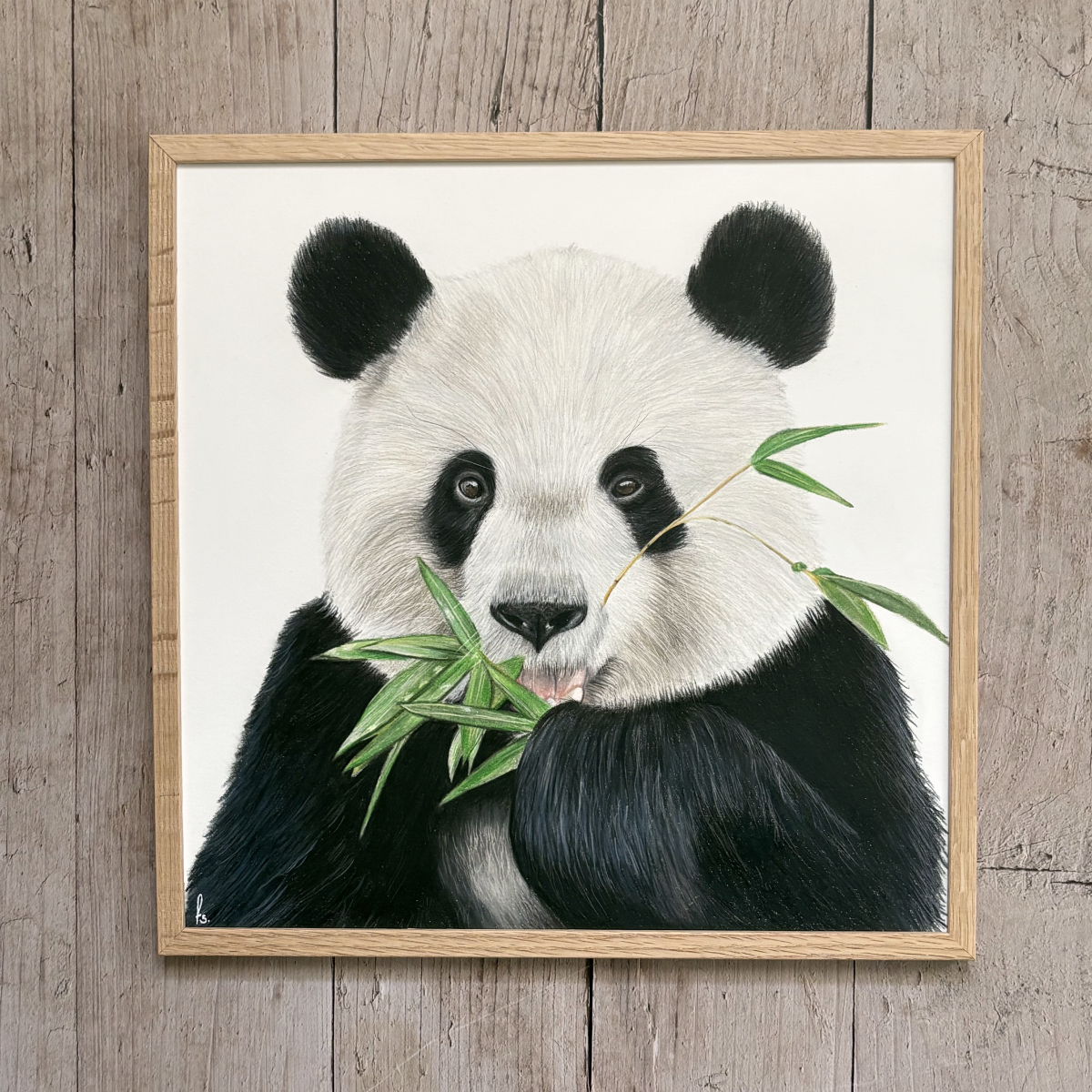 Originele tekening | Reuze panda