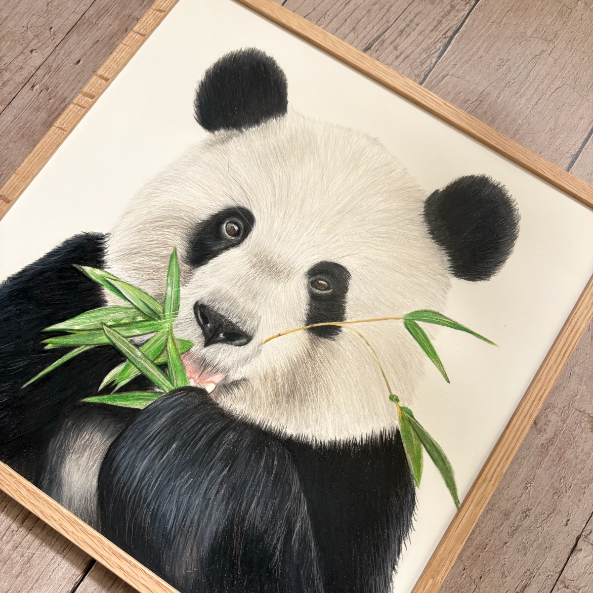 Originele tekening | Reuze panda
