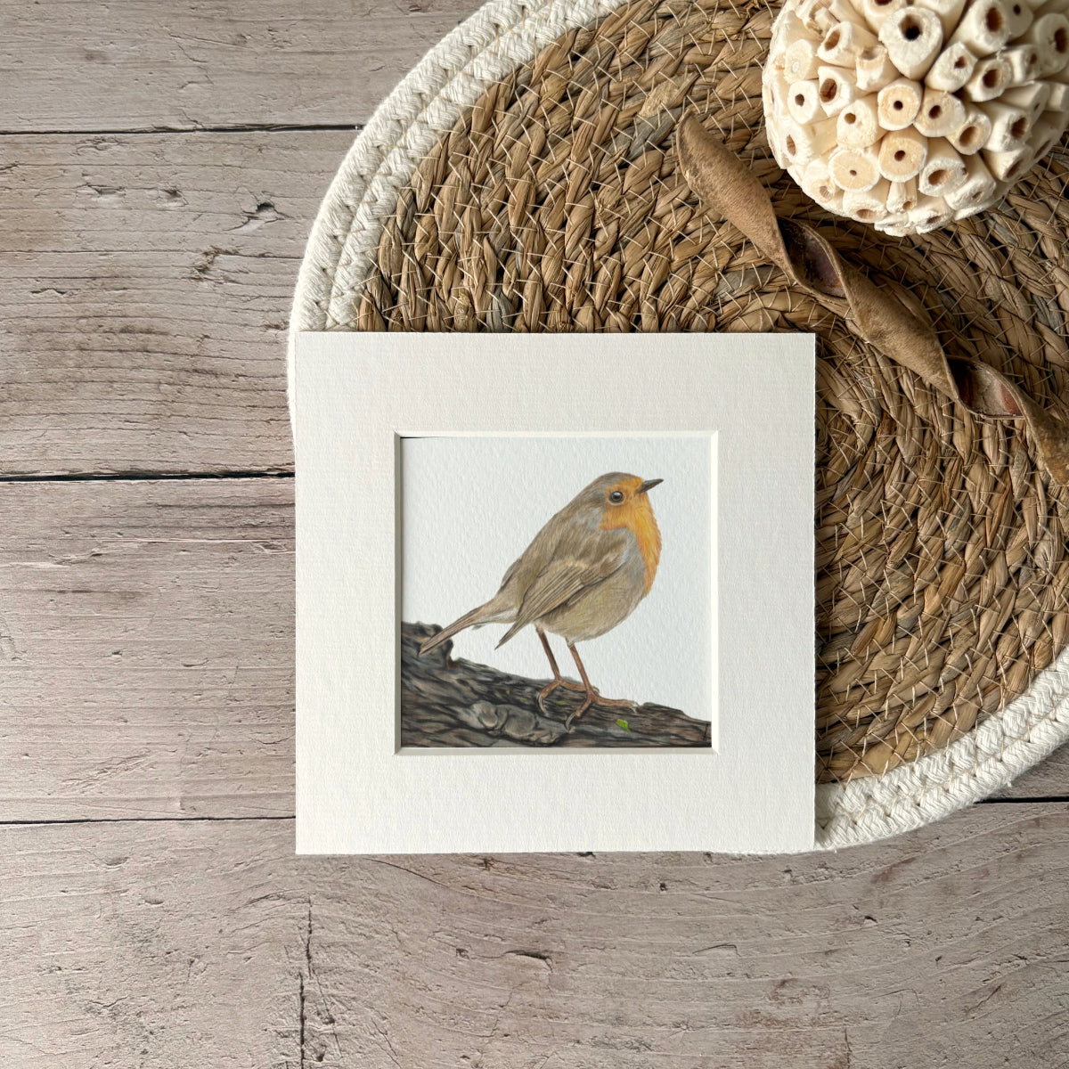 Print | Roodborstje