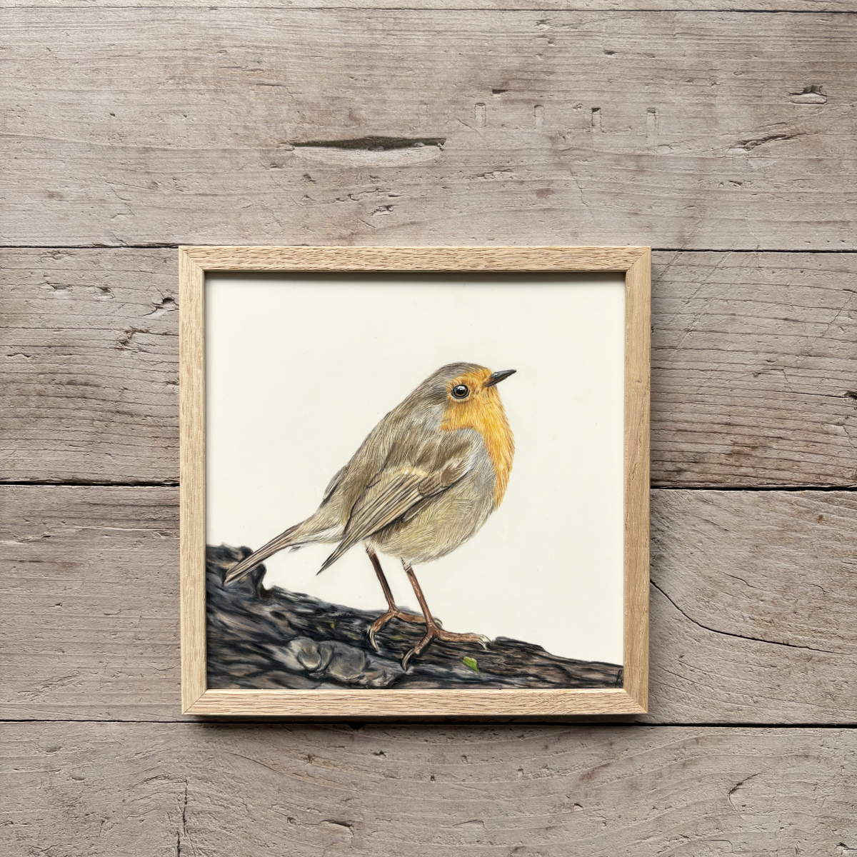 Originele tekening | Roodborstje