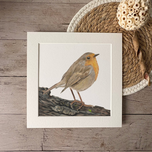 Print | Roodborstje