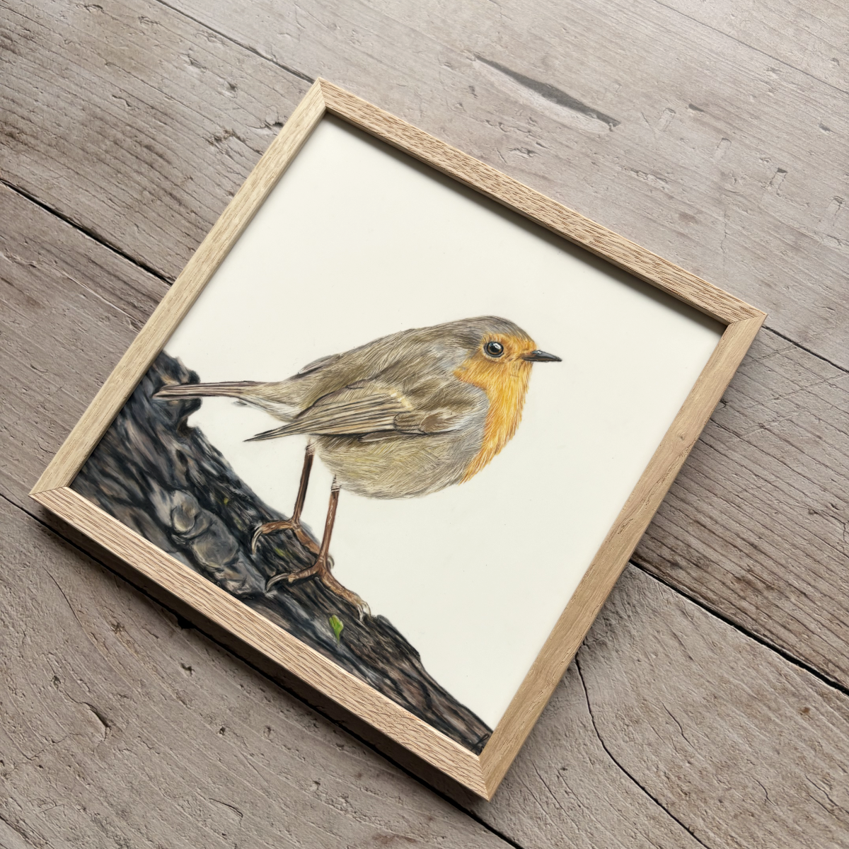 Originele tekening | Roodborstje