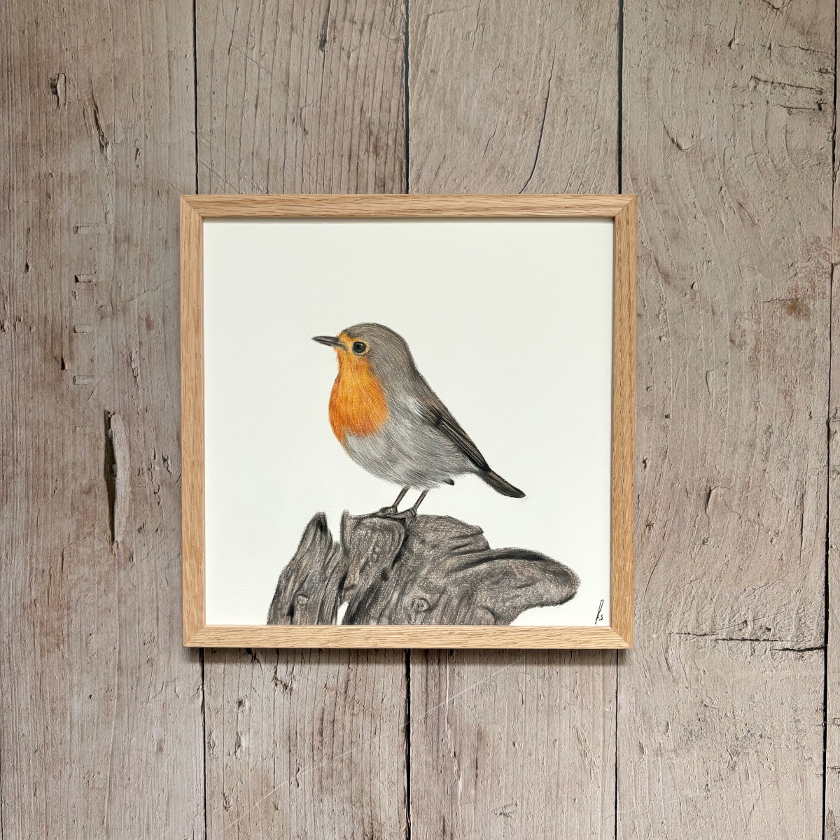 Originele tekening | Roodborstje op hout