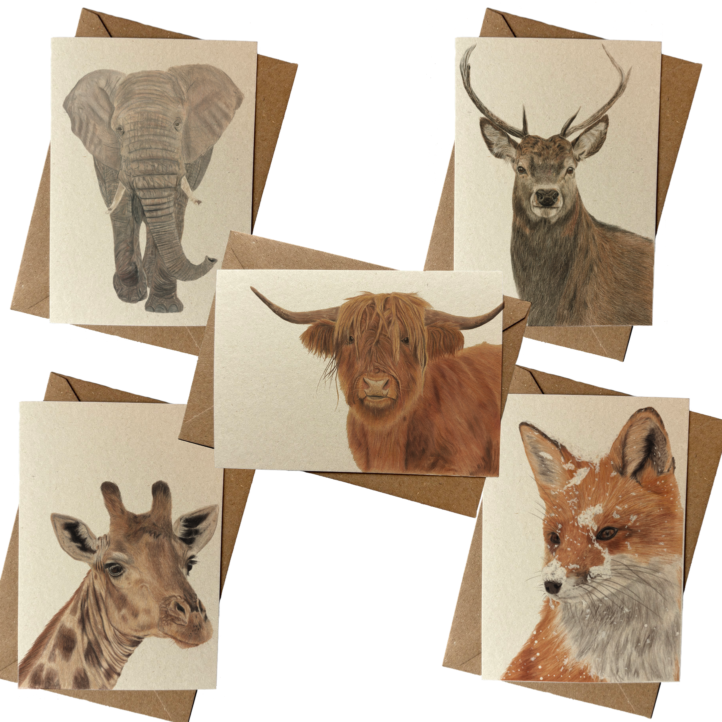 Kaarten set | Wilde dieren | 5 kaarten