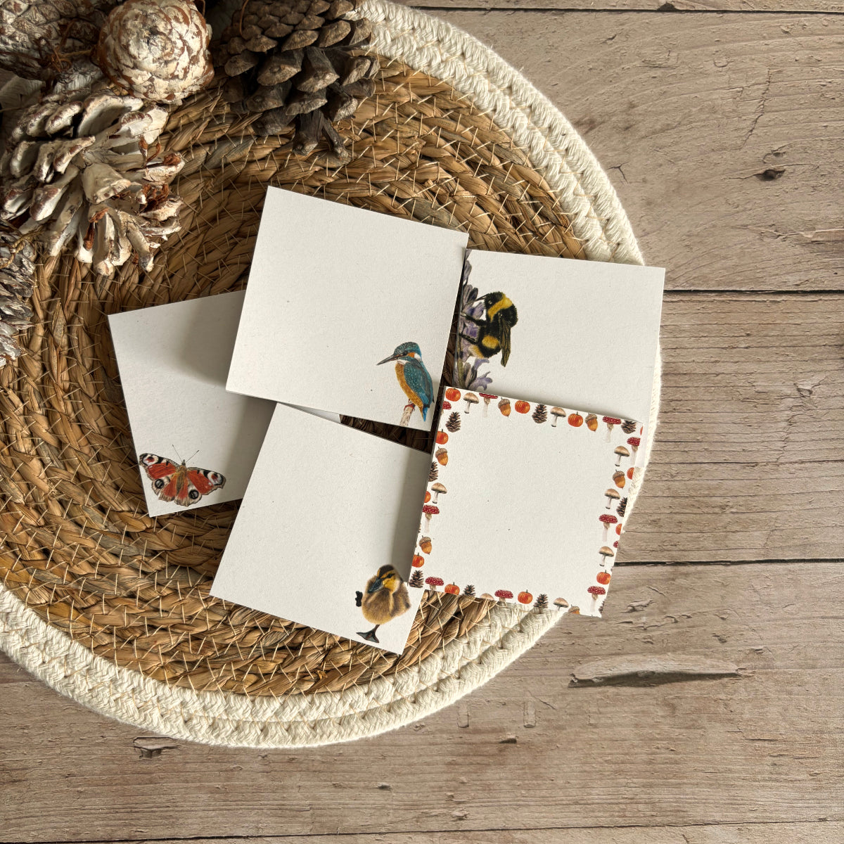 Sticky Notes - Zelfklevend | Set van 5