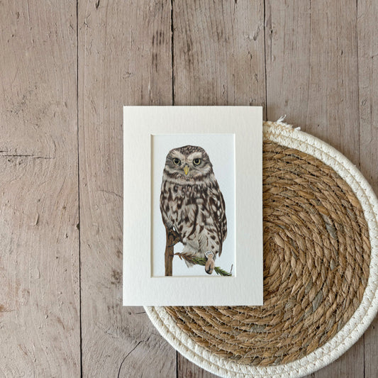 Print | Little owl
