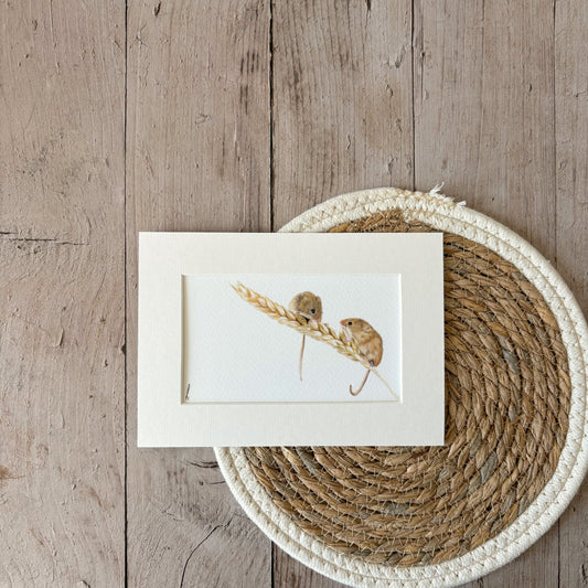 Print | Harvest mice